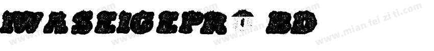 iwaseigepro bd字体转换